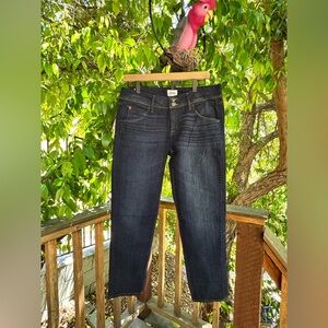 Hudson Collin Skinny Jeans | Size 29 | Dark Wash Stretch Denim